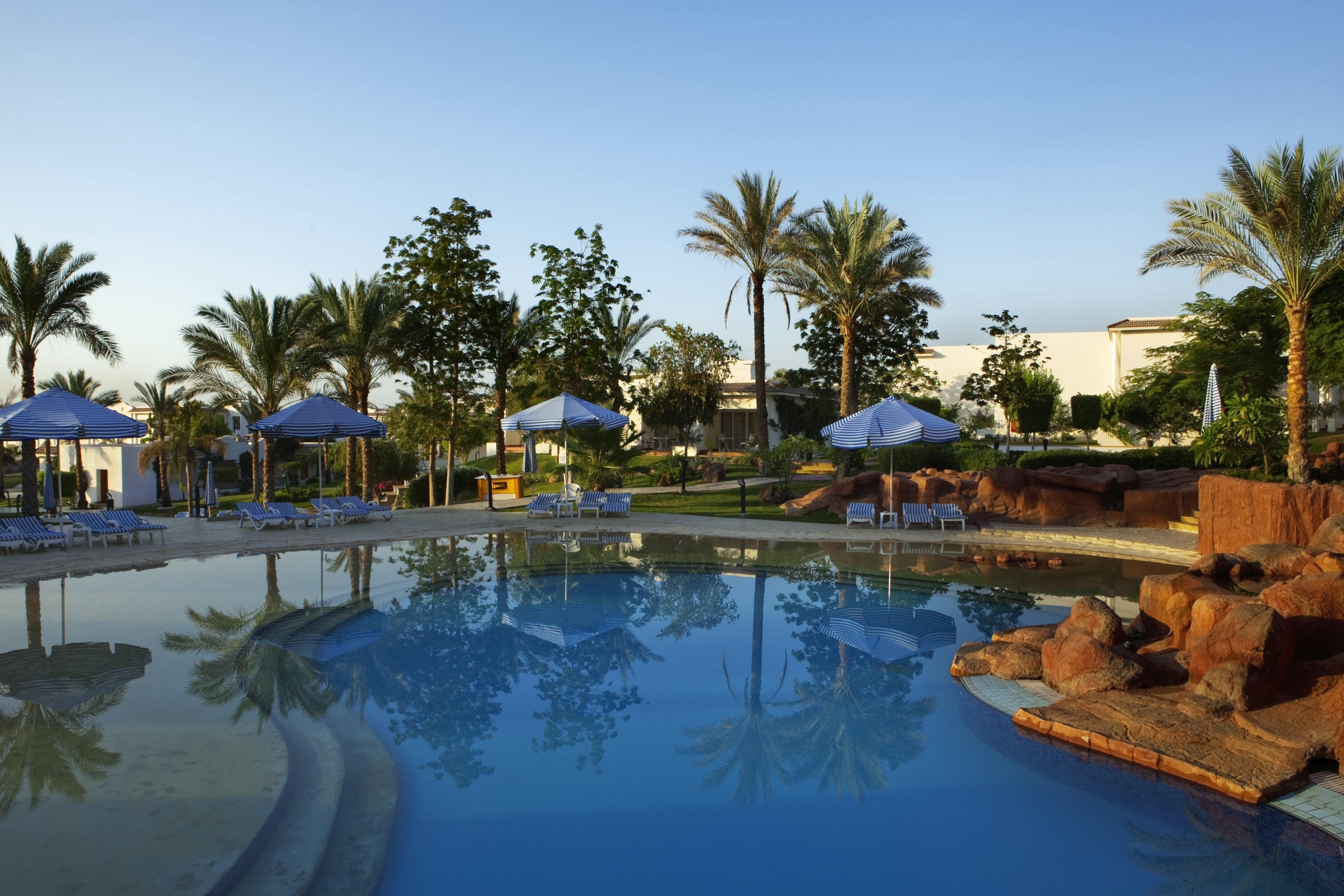 Отель sharm dreams resort